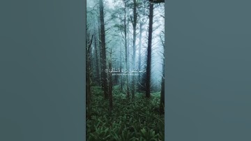 سورة الحاقة | {الاية-29-33} القارئ محمد اللحيدان #قران #القارئ_محمد_اللحيدان