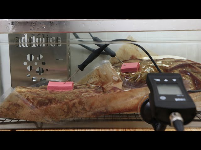 Thermomètre cuisson sous vide, sonde cuisson sous vide - Sopac