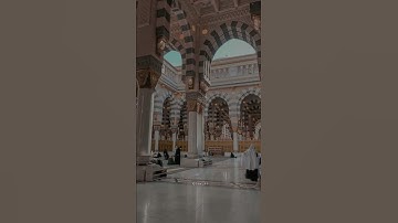 سورة نوح بصوت القارئ أحمد خضر ❤