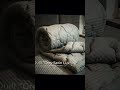 😌🌀Когда вечер становится прохладным, пусть шерстяное одеяло станет вашим тёплым убежищем.🌙