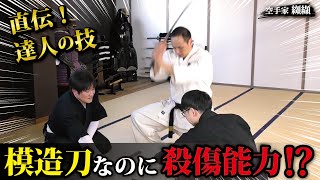 悪用厳禁‼️達人の技は模造刀を刃物に変える【居合の達人 町井勲】