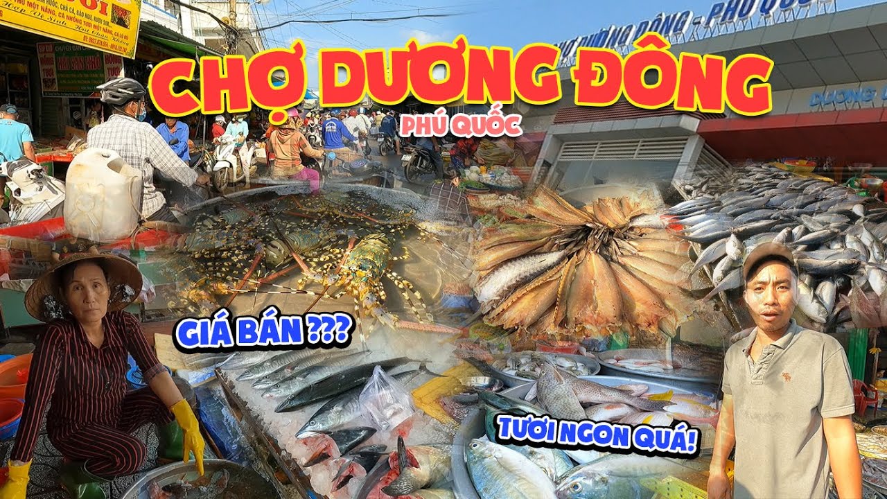 chợ dương đông New Choáng ngợp trước thiên đường HẢI SẢN TƯƠI SỐNG tại CHỢ DƯƠNG ĐÔNG PHÚ QUỐC /Đặc sản CHẢ CÁ PHÚ QUỐC