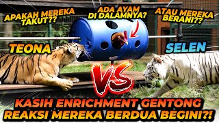 TANTANGAN GAMES UNTUK SELEN DAN TEONA! SELEN MALAH TAKUT?! JADI PEMENANGNYA ADALAH...