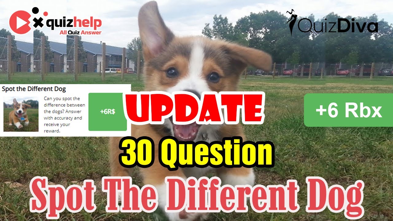 Spot The Different Dog Quiz Answers 100 Quiz Diva