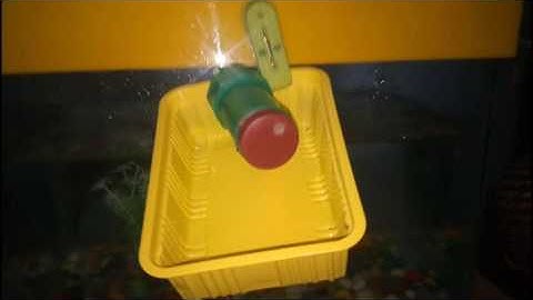 Automatic fishfeeder with raspberrypi- 1