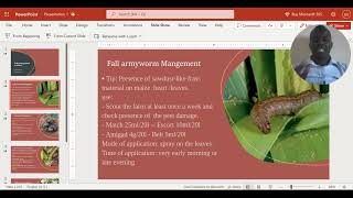 Presentation 1 pptx   Microsoft PowerPoint Online   10 June 2023 1