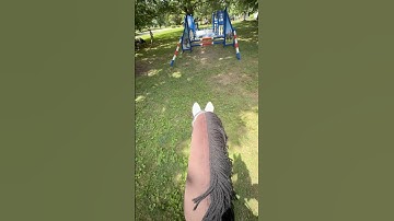 Are we on beat?? 🤩 #hobbyhorse