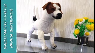 Собака Джек-рассел, ч.3. Dog Jack Russell, р.3.  Amigurumi. Crochet.  Вязать игрушки, амигуруми.