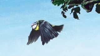 Flaps ESting