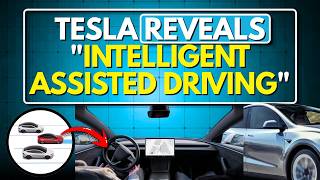 Tesla Announces Full Self Driving in China - Then They Did This...