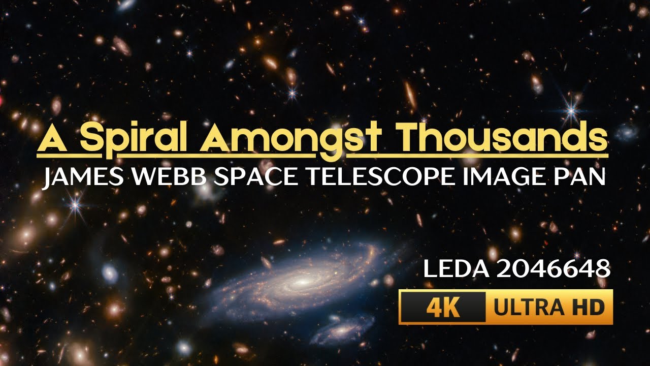 A Spiral Galaxy Amongst Thousands! Image Pan of LEDA 2046648 | JWST | 4K, No Commentary