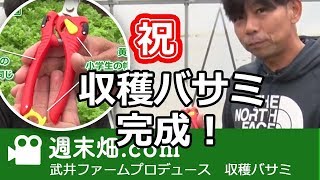 貝印と共同開発 収穫バサミを武井自身が解説！