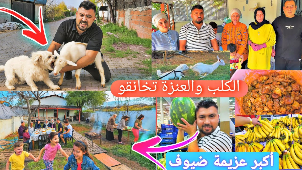 الكلب🦮(فندق)وعنزة🐐الجيران تخانقو😥//مشتريات أكبر عزيمة الضيوف في بيت الضيعة♥️