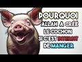 Pourquoi allah a cr le cochon si nous ne pouvons mme pas le manger   islamaveczaid