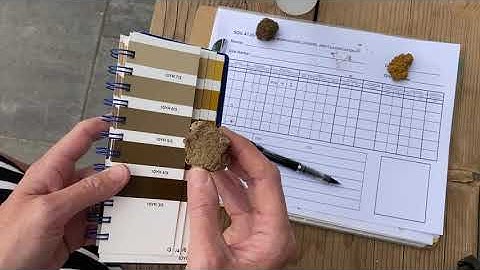 How to determine soil color