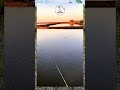 HAL !! YANG MENYAKIT KAN BAGI PEMANCING
