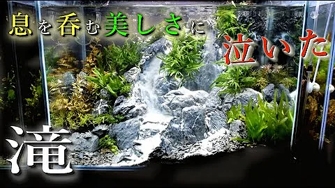 水槽ビール レイアウト Mp3