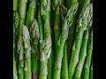 Asparagus Puppet