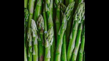 Asparagus Puppet 
