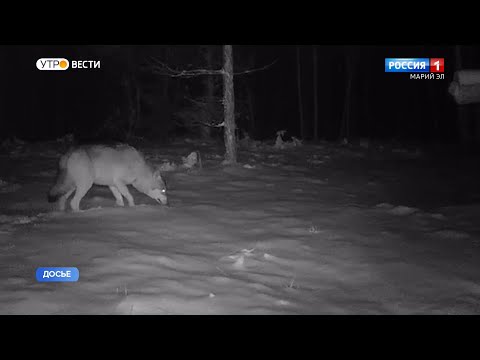 2 ноября - Артемьев день