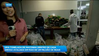 UMA TONELADA DE MACONHA DENTRO DE CASA: DROGA AVALIADA EM MAIS DE UM MILHÃO DE REAIS