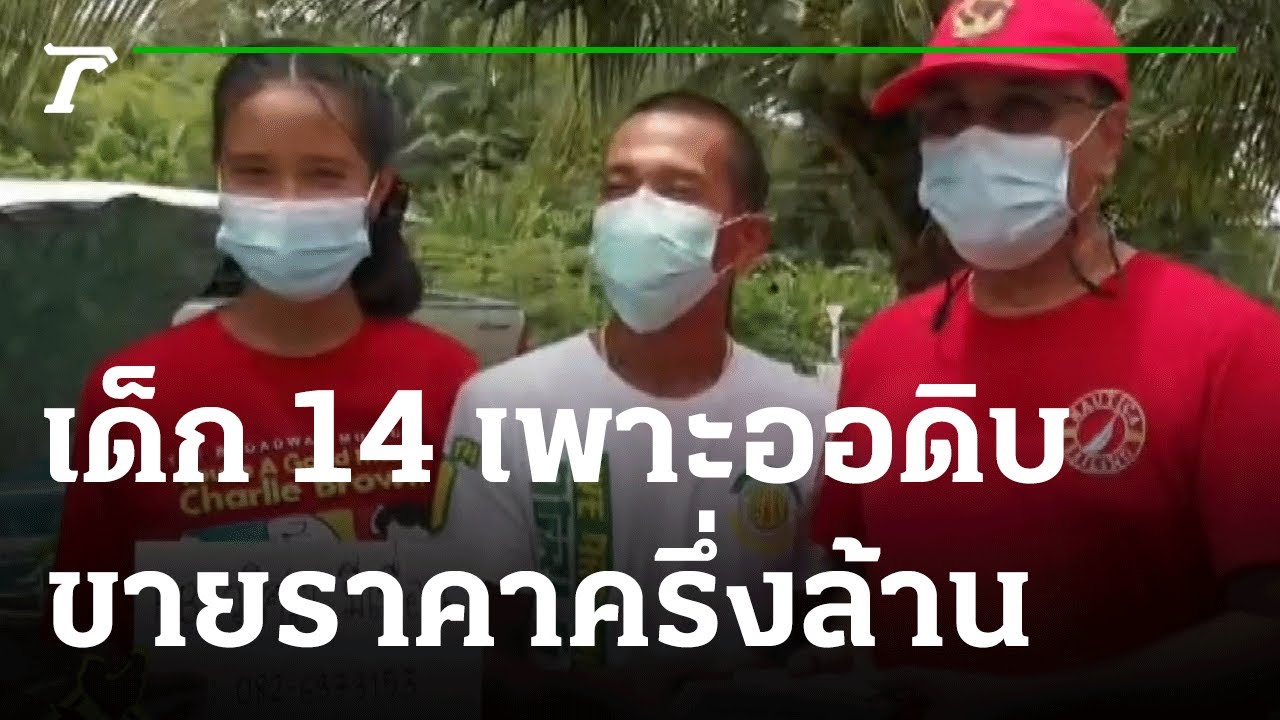 ส่องทั่วไทยไปกับใบตอง : เด็ก 14 เพาะออดิบขายราคาครึ่งล้าน | 21-10-64 | ตะลอนข่าว