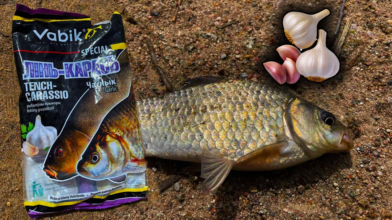 Ловля КАРАСЯ на ФИДЕР в мае. Весенние караси и чесночная прикормка от ...