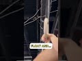 THIS TIP for STRONGER muscle ups! #shorts #muscleup #howto