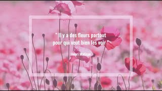 Citation - Henri Matisse - Il y a des fleurs partout pour qui veut bien les voir