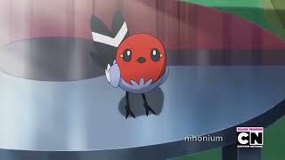 poké-birb by nihonium 4,122 views 1 year ago 8 seconds