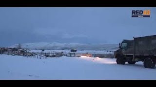 Homicidio Colan Conhué