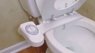 My Secret Bidet Dub
