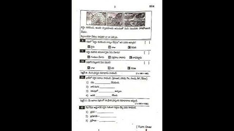 AP 2nd class CBA-3 SA2 telugu question paper 2023-2024 #exam