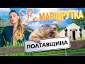 Ле Маршрутка. Полтавщина