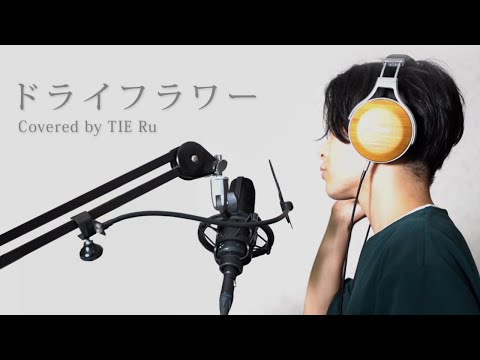 ドライフラワー／優里【Covered by TIE Ru】(Cho - 獅子神レオナ)