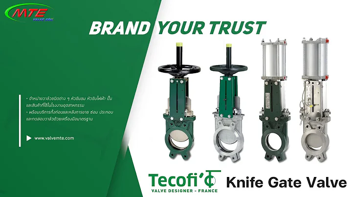 Leader in the manufacturing of Knife Gate Valve ยี่ห้อ Tecofi