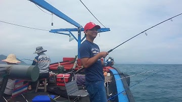 Câu cá biển đầu năm 2017