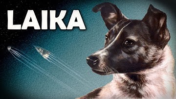 Laika: The Tragic Story of the First Dog in Space [2023 Documentary]