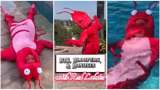 Red Lobster EXTENDED CUT -- BTS, Bloopers, & Bonus Scenes -- MEMBERS ONLY 💁🏻‍♀️✨