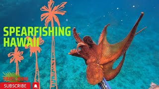 HAWAII KONA/Гавайи затерянный ОСТРОВ КОНА/2023 ЗЕЛЕНЫЙ ОСТРОВ РАЙСКОЕ МЕСТSpearfishing