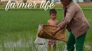 Farmer relaxing traditioned Khmer music, fresh in the morning, Relief Stress, and help, screenshot 5