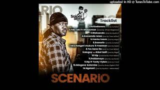 Sniper Storm-Scenario Album[Official Mixtape]Dec 2022