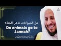 Do animals go to jannah