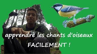 Apprendre les CHANTS D'OISEAUX facilement ! Bipède en vadrouille épisode 1