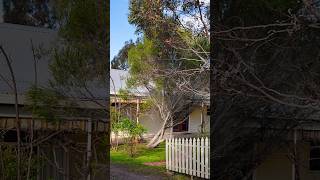For Sale || 10 Warnock Street, Maldon