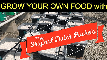 Original Dutch Buckets or Bato Buckets - Full Instructions