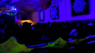 Sonic Species live @ Freakadelik 2011