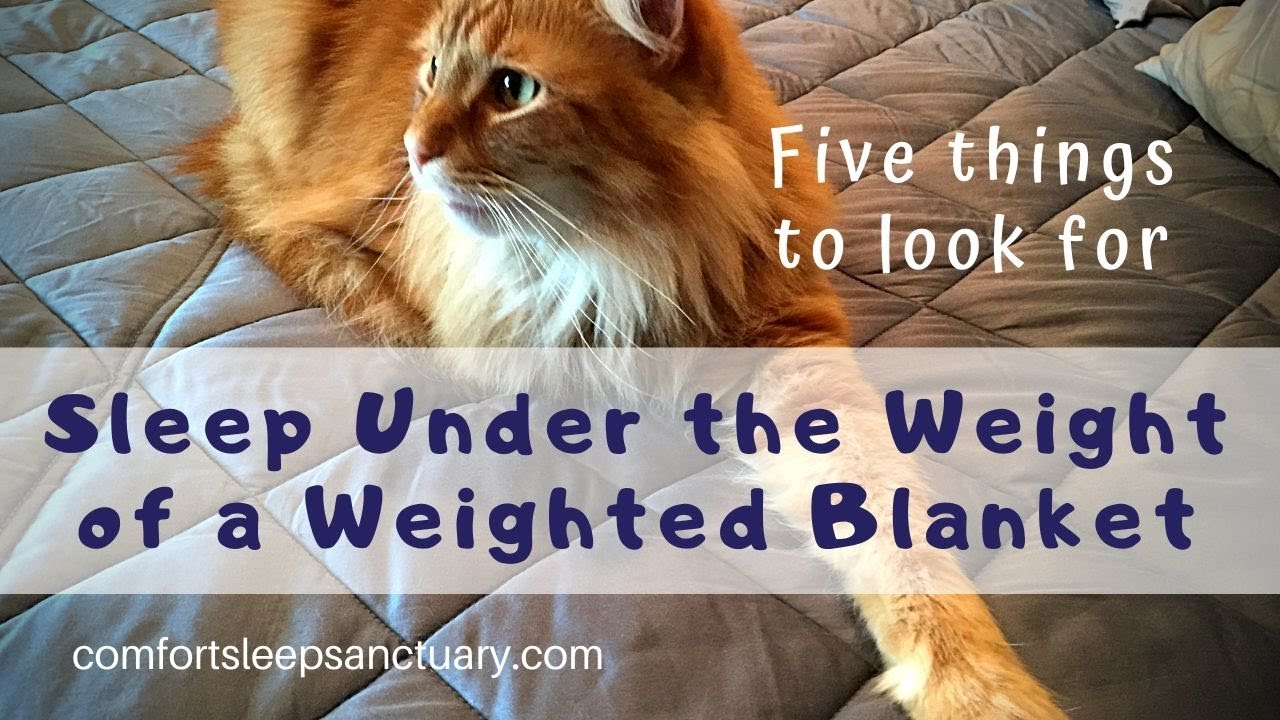 Sleep Under the Weight of a Weighted Blanket | Five Things to Look For