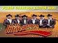 【Música de vaquero】-Los Intocables Del Norte 2021 - Musica Norteñas (Disco Completo)