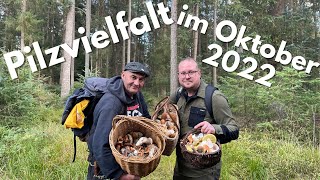Pilzvielfalt Im Oktober 2022 - Auf Anfänger Tour Mit René Dem Pilz Flüsterer